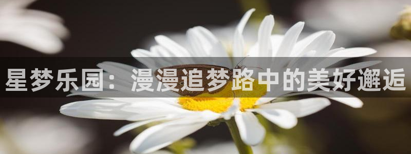 yy漫画免费在线阅读：星梦乐园：漫漫追梦路中的美好邂逅