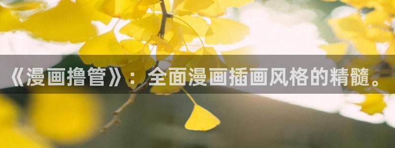 羞羞漫画yy漫画大全：《漫画撸管》：全面漫画插画风格的精髓。