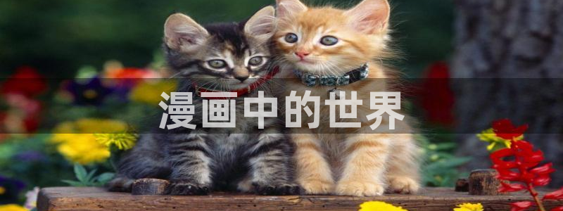 yy漫画免费：漫画中的世界