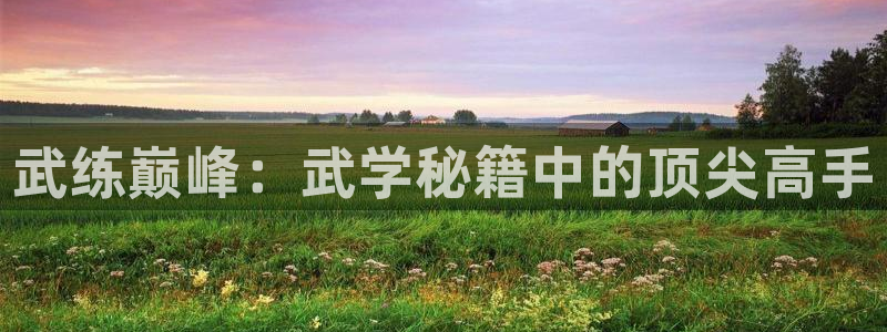 yy漫画大全套：武练巅峰：武学秘籍中的顶尖高手