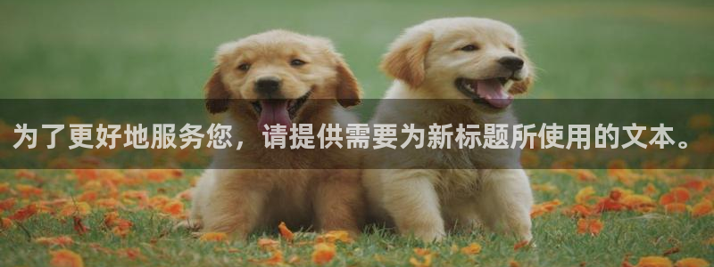 yy漫画免费登录入口：为了更好地服务您，请提供需要为新标题所使用的文本。
