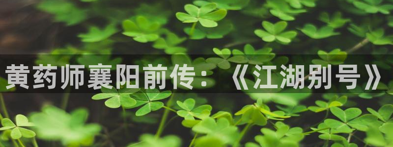 yy漫画sss：黄药师襄阳前传：《江湖别号》